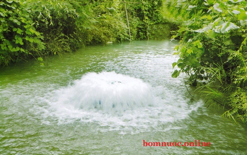 may suc khi oxy cho ho ca tom